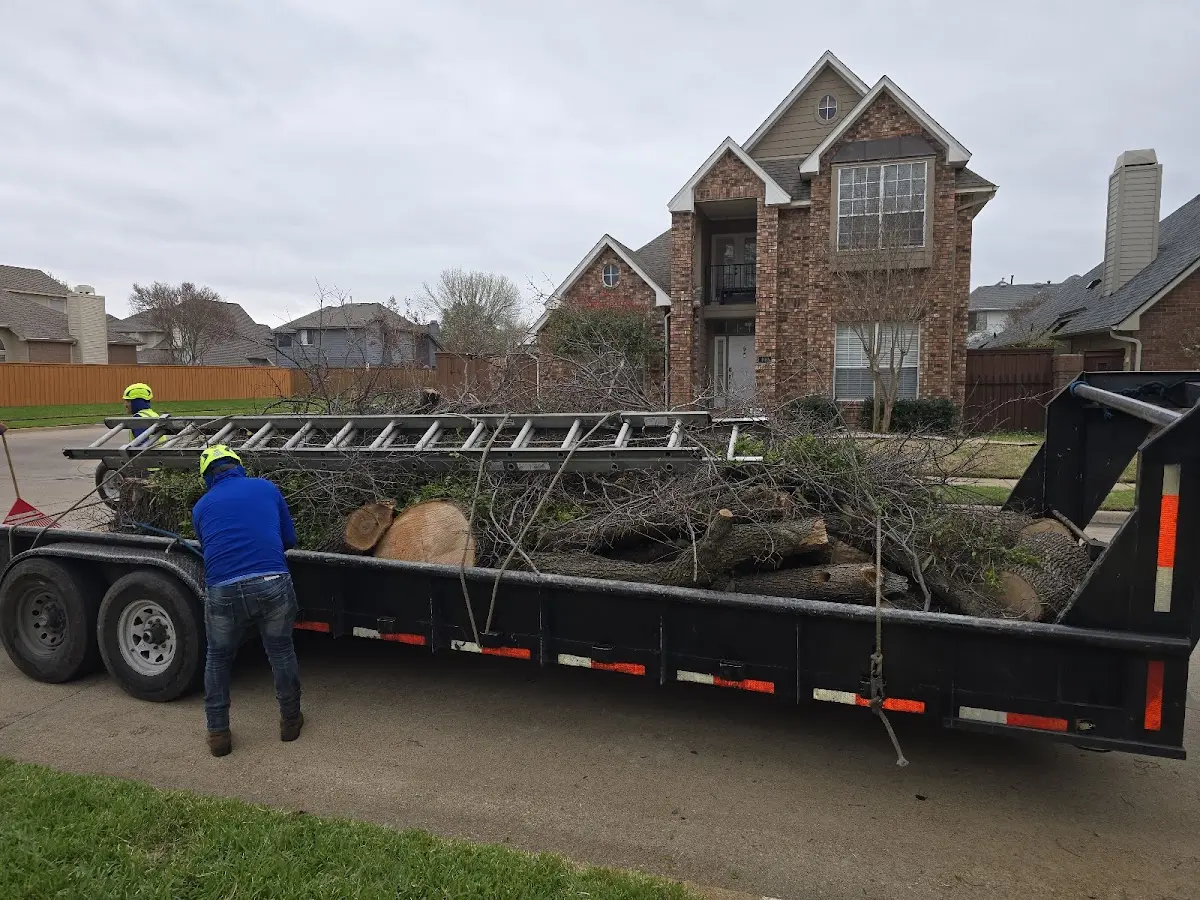 Expert Lot Clearing with proper safety equipment in Curtice